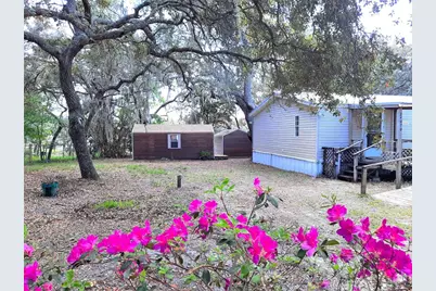 24070 NE 152nd Lane, Salt Springs, FL 32134 - Photo 4