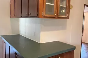 24070 NE 152nd Ln, Salt Springs, FL 32134 - Photo 8