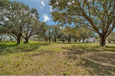Royal Palm Dr, Groveland, FL 34736 - Photo 4