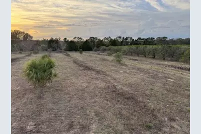 000 SE Se 165th Avenue, Weirsdale, FL 32195 - Photo 4