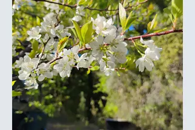 S Lake Hiawatha Drive, Lady Lake, FL 32159 - Photo 4