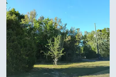 S Lake Hiawatha Drive, Lady Lake, FL 32159 - Photo 20