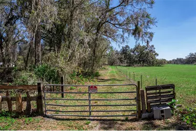 Tbd S US 301, Webster, FL 33597 - Photo 2