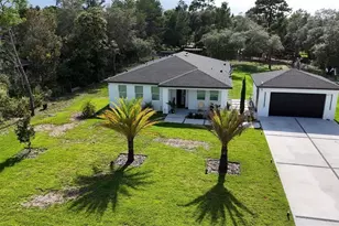 42329 Chinaberry St, Eustis, FL 32736 - Photo 1