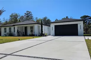 42329 Chinaberry St, Eustis, FL 32736 - Photo 6