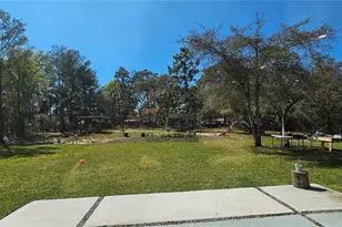 42329 Chinaberry St, Eustis, FL 32736 - Photo 12