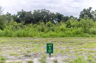 1480 Oxford Preserve Trl, Oxford, FL 34484 - Photo 1