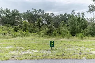 1417 Oxford Preserve Trl, Oxford, FL 34484 - Photo 1