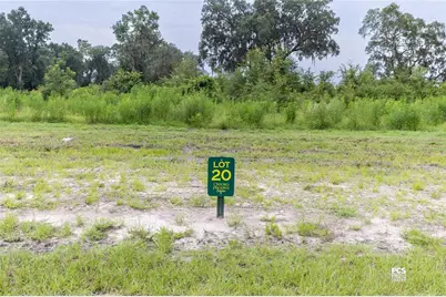 1485 Oxford Preserve Trl, Oxford, FL 34484 - Photo 1