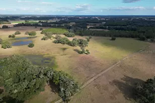993 Cr 722, Webster, FL 33597 - Photo 82