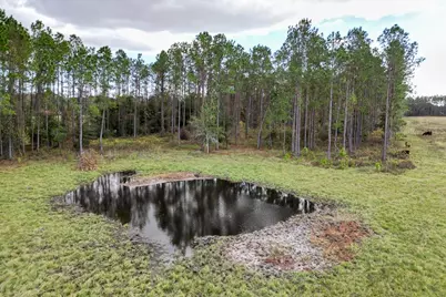 993 Cr 722, Webster, FL 33597 - Photo 74