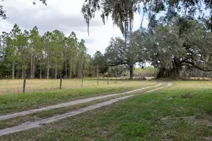 993 Cr 722, Webster, FL 33597 - Photo 46