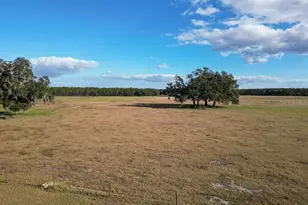 993 Cr 722, Webster, FL 33597 - Photo 86