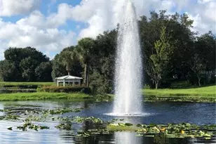 25527 Oak Alley, Leesburg, FL 34748 - Photo 98