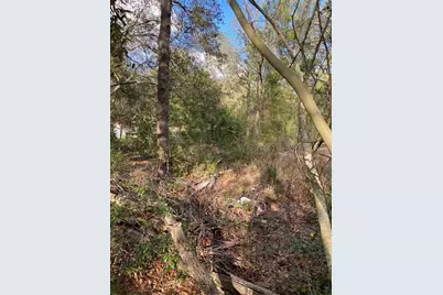 Dogwood Way, Lady Lake, FL 32159 - Photo 4