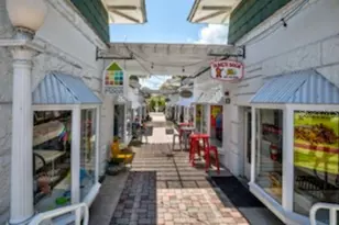 100 S Tremain St, Mount Dora, FL 32757 - Photo 32