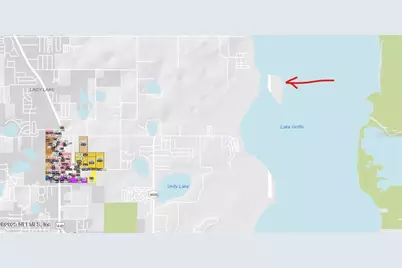 6001 Bird Island Drive, Lady Lake, FL 32159 - Photo 4