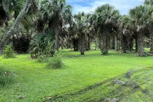 6001 Bird Island Dr, Lady Lake, FL 32159 - Photo 24