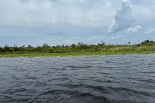 6001 Bird Island Dr, Lady Lake, FL 32159 - Photo 44