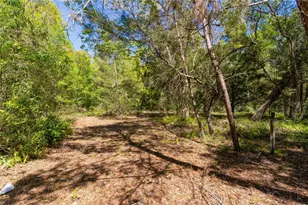 801 Kilgore St, Wildwood, FL 34785 - Photo 8