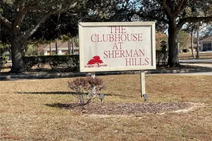 6698 Wirevine Dr, Brooksville, FL 34602 - Photo 48