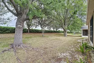 135 Crepe Myrtle Dr, Groveland, FL 34736 - Photo 48