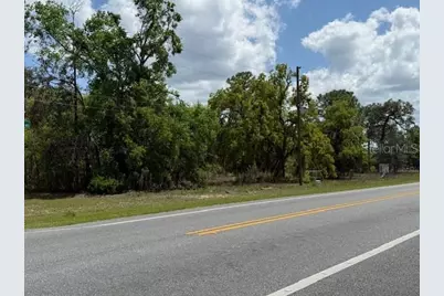 8655 S Florida Avenue, Floral City, FL 34436 - Photo 4