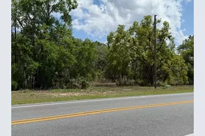8655 S Florida Avenue, Floral City, FL 34436 - Photo 2
