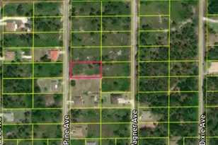 1510 Pine Ave, Lehigh Acres, FL 33972 - Photo 1