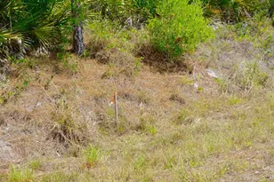 1510 Pine Ave, Lehigh Acres, FL 33972 - Photo 8