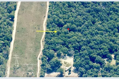 Track 28 SW 150th Street, Dunnellon, FL 34432 - Photo 2