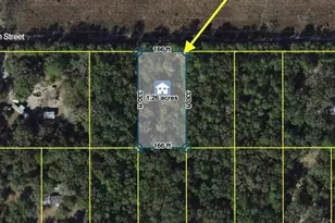 Track 28 SW 150th St, Dunnellon, FL 34432 - Photo 1
