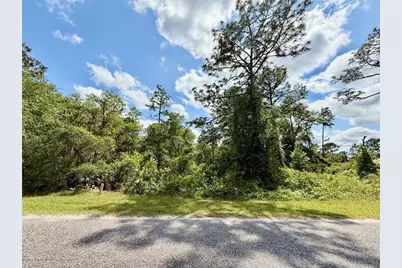 Lot 2 Quince Avenue, Eustis, FL 32736 - Photo 6