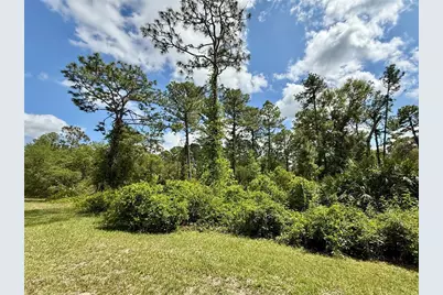 Lot 2 Quince Avenue, Eustis, FL 32736 - Photo 10