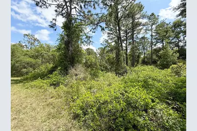 Lot 2 Quince Avenue, Eustis, FL 32736 - Photo 8