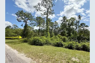 Lot 2 Quince Avenue, Eustis, FL 32736 - Photo 2