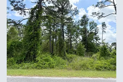 Lot 2 Quince Avenue, Eustis, FL 32736 - Photo 14