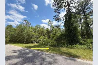 Lot 2 Quince Avenue, Eustis, FL 32736 - Photo 1