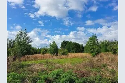 Coffee Creek Lane, Clermont, FL 34711 - Photo 8