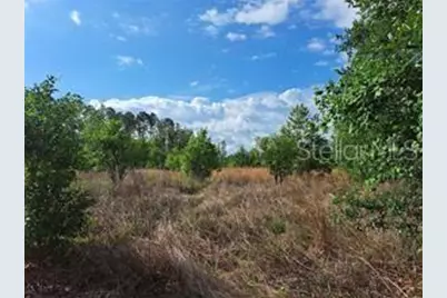 Coffee Creek Lane, Clermont, FL 34711 - Photo 14