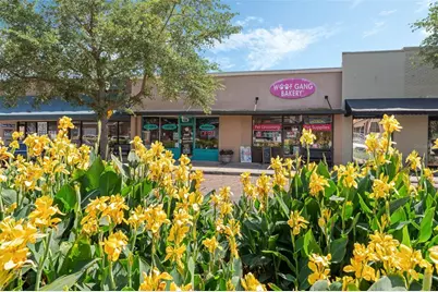 18 & 20 E Plant Street, Winter Garden, FL 34787 - Photo 1