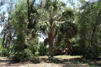 3117 Bright Lake Circle #lot 63, Groveland, FL 34736 - Photo 16