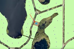 43740 Sunset Dr, Paisley, FL 32767 - Photo 30