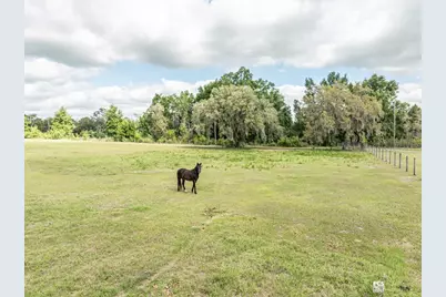 8091 C 476B, Bushnell, FL 33513 - Photo 64