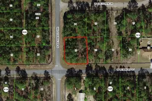 1273 W Newbury St, Citrus Springs, FL 34434 - Photo 1