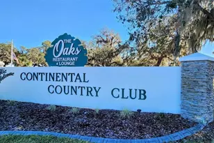 27 Robin Rd, Wildwood, FL 34785 - Photo 10