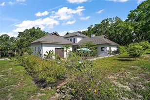 6905 Clayton St, Mount Dora, FL 32757 - Photo 8