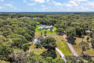 6905 Clayton St, Mount Dora, FL 32757 - Photo 52