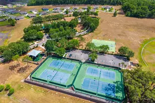 5354 Travertine St, Mount Dora, FL 32757 - Photo 46