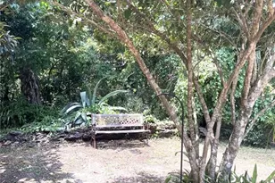 17847 County Rd 455, Clermont, FL 34715 - Photo 10